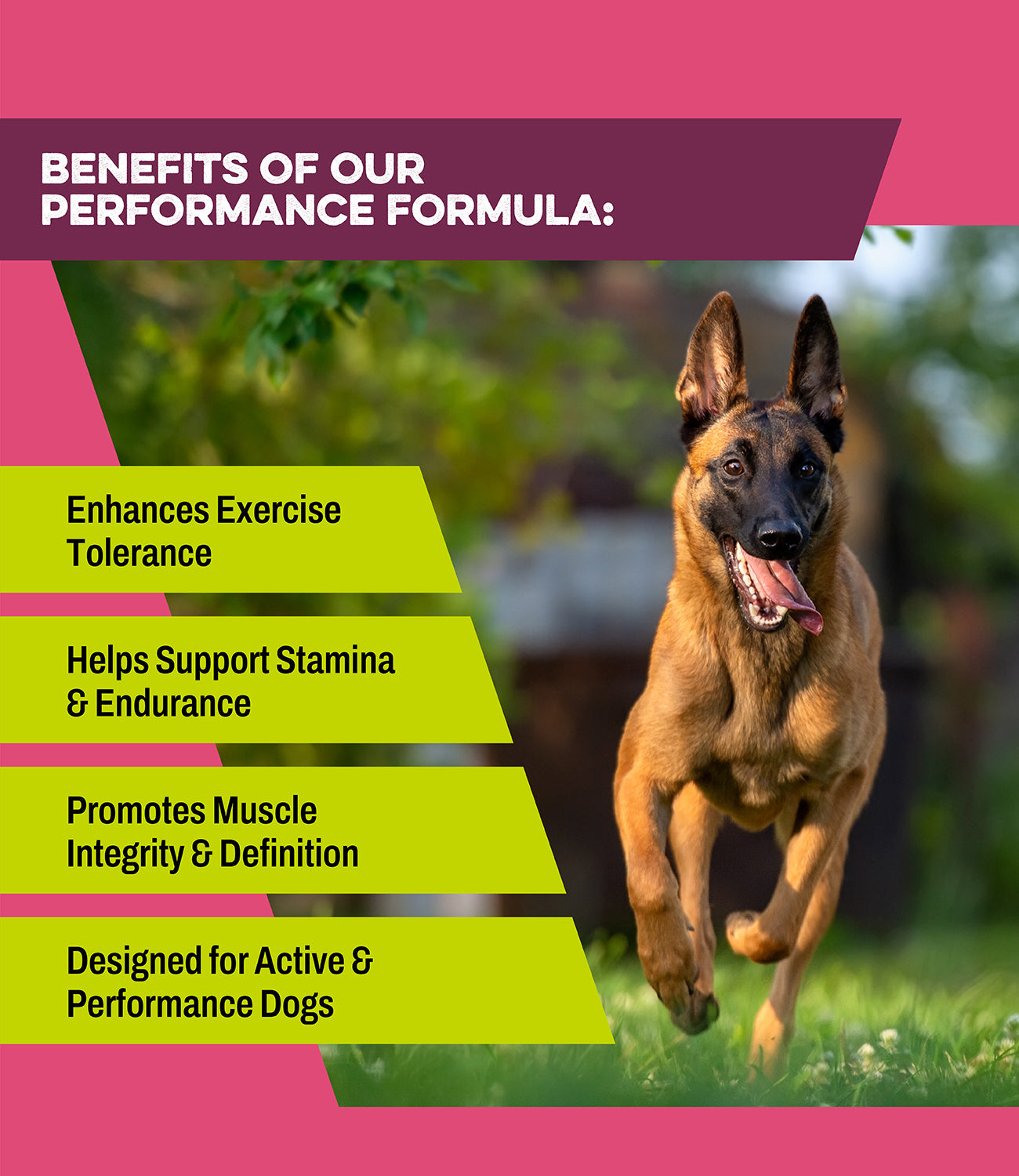 K9 Power Super Fuel ingredient sourcing and quality details for working dog supplement