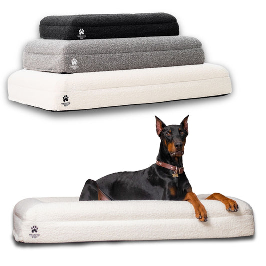 Wasatch Pup luxury orthopedic dog bed with plush cushioning and supportive design for ultimate pet comfort and rest.