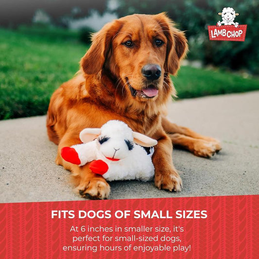 Multipet INTERNATIONAL 843140 Lambchop Plush Squeak Toy Mini for Pets, 6-Inch, White, Small Dog