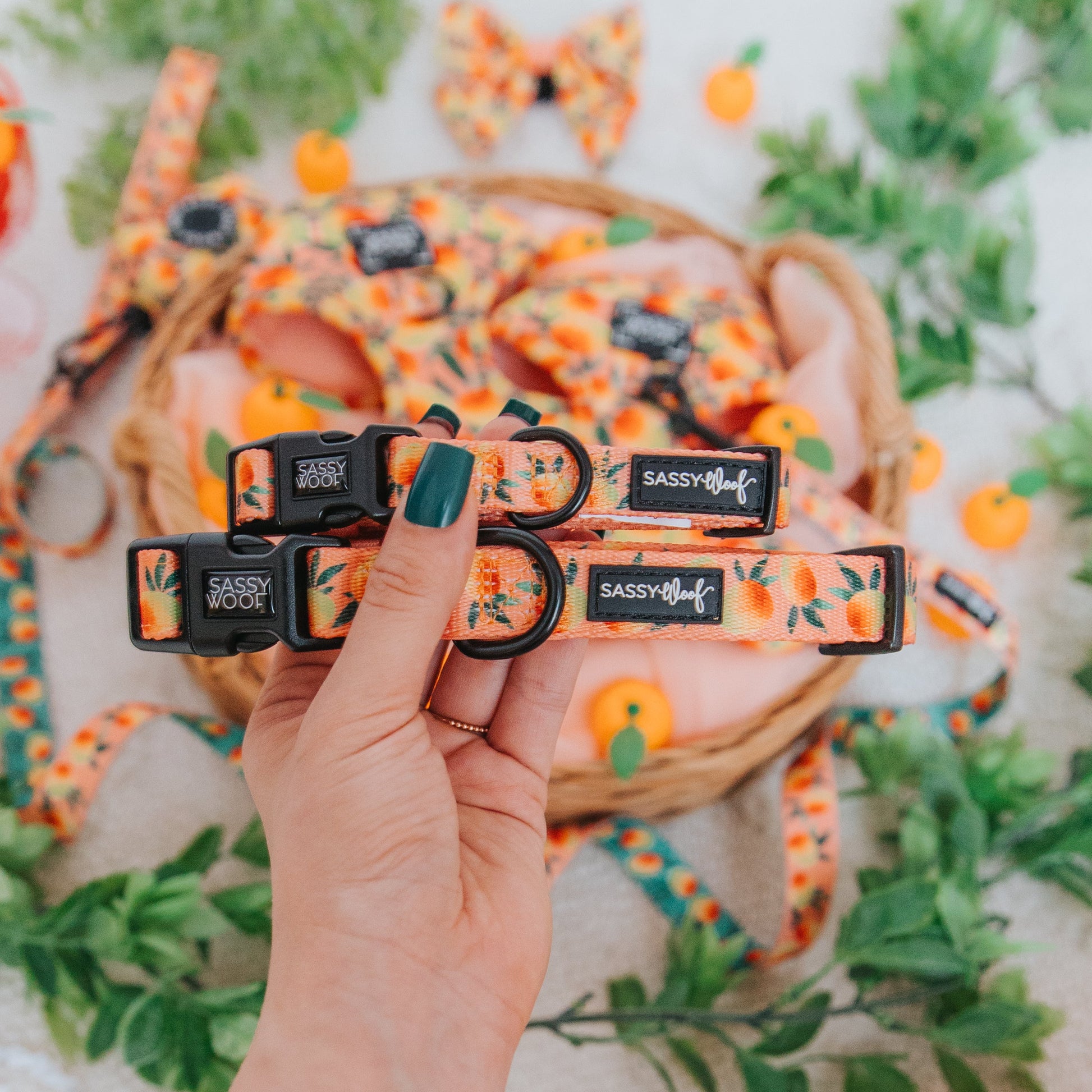 Bright Mango Tango dog collar from Sassy Woof with adjustable strap and secure buckle, designed for pets' comfort.
