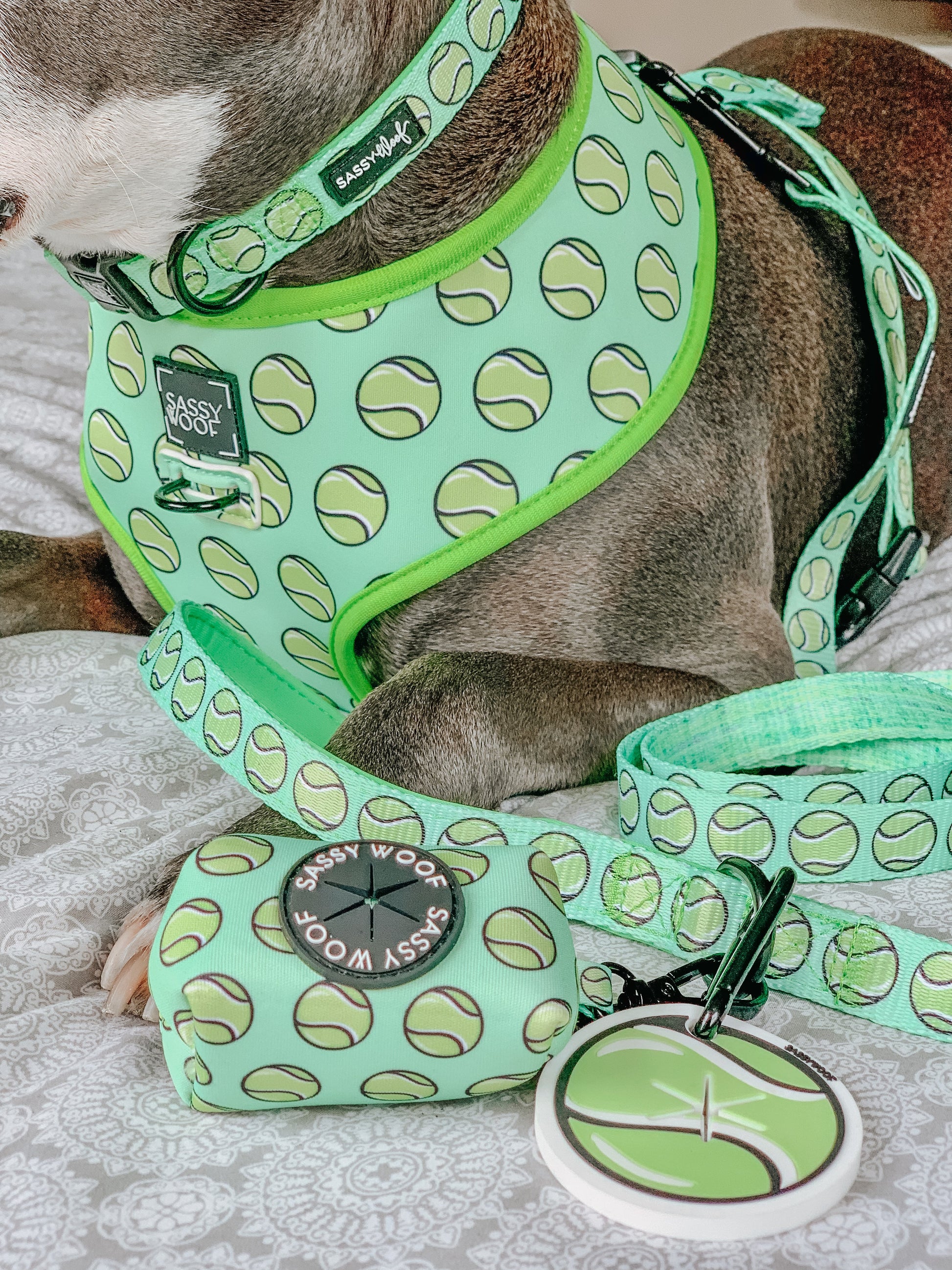 Sassy Woof Dog Collar "Serving Up Sass" with colorful design on a brown leather strap for pets.
