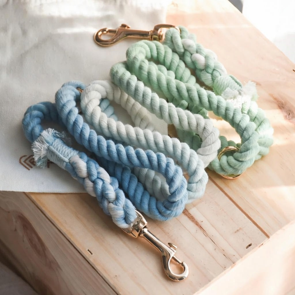 Three braided cotton rope dog leashes featuring blue and green ombre dyes, hand-spliced ends with fringe detail, and durable gold-colored metal clips.