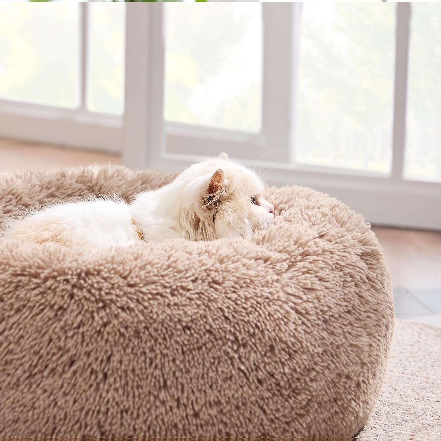 Experience unparalleled comfort for your furry friend with our Plus Donut Calming Pet Bed. This plush donut-shaped bed is 20% softer than competitors, featuring high-quality faux shag fur that creates a warm, calming environment. The raised rim design provides optimal head and neck support, while premium ultra-soft filling offers joint and muscle pain relief. OEKO-TEX certified for safety, this versatile bed comes in various sizes, with the XS (20”x20”) fitting pets up to 15 lbs. 