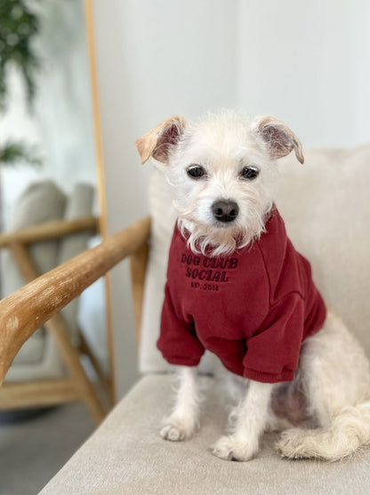 Good Thomas Dog Club Social pullover full product view – limited edition maroon French Terry dog sweatshirt
