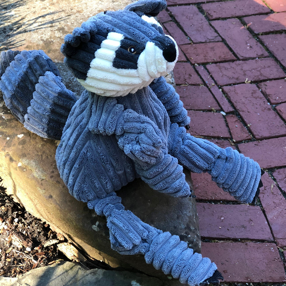 HuggleHounds Reggie Raccoon Knottie® plush dog toy with soft fabric and embroidered raccoon face for cuddly play.