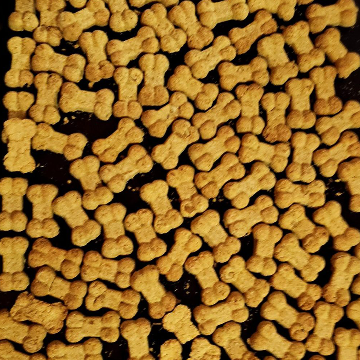 Close-up of bone-shaped dog biscuits on a dark surface