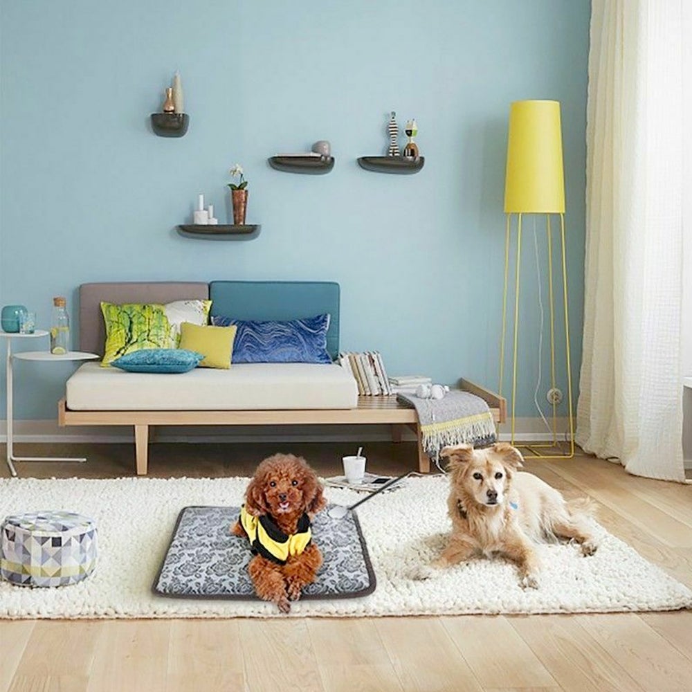 Self-Heating Thermal Pet Bed – Portable, Non-Electric Warming Pad for Cats & Dogs