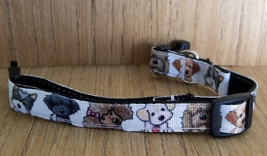 Our small dog collar and leash set is the perfect combination of style, comfort, and durability.