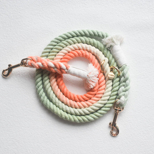  The Bubble Soda Hands-Free Pup Promenade Leash”