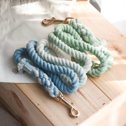 Three braided cotton rope dog leashes featuring blue and green ombre dyes, hand-spliced ends with fringe detail, and durable gold-colored metal clips.
