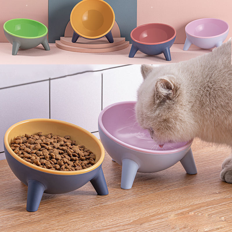 Unbreakable 15° Tilted Pet Bowl