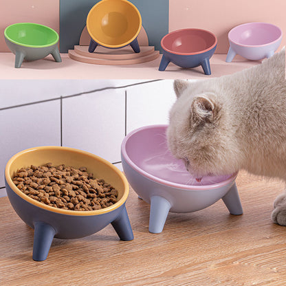 Unbreakable 15° Tilted Pet Bowl