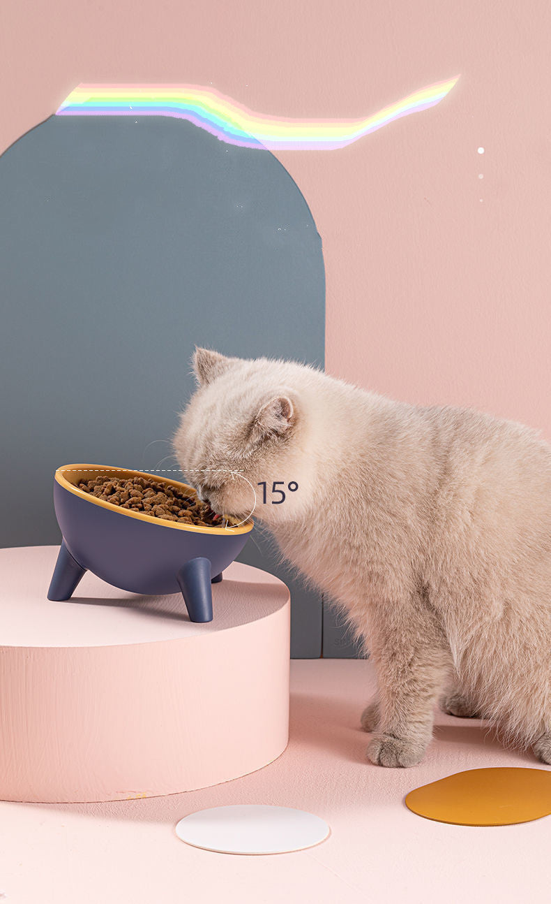 Unbreakable 15° Tilted Pet Bowl