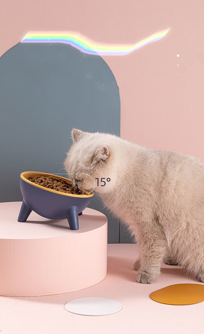 Unbreakable 15° Tilted Pet Bowl