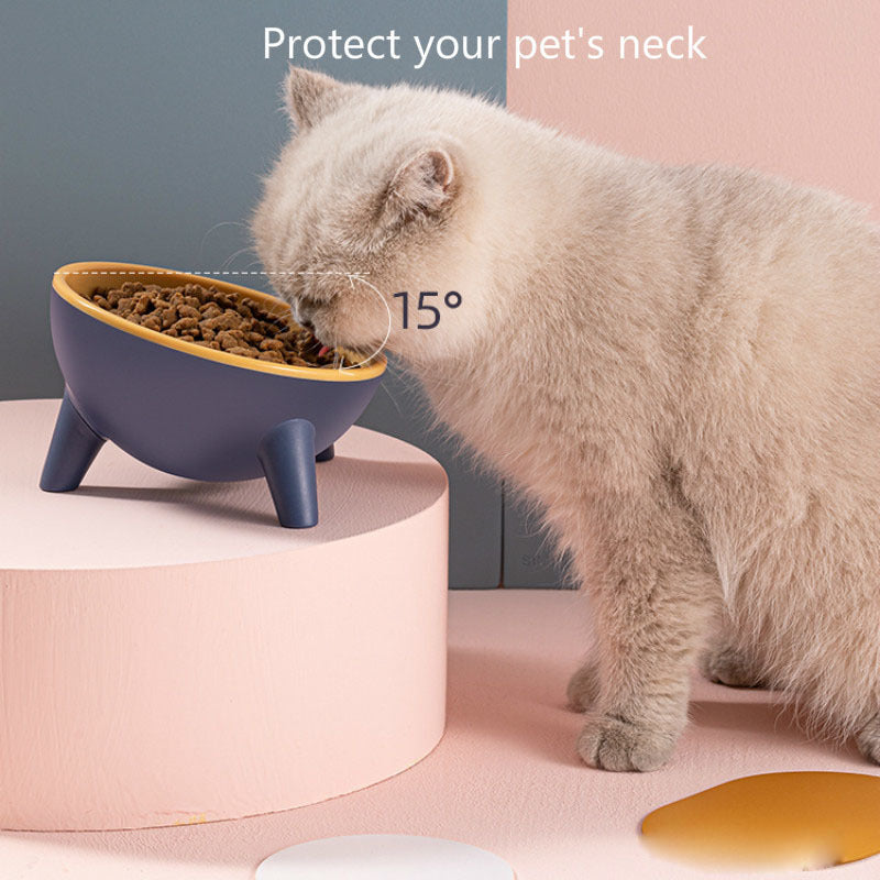 Unbreakable 15° Tilted Pet Bowl