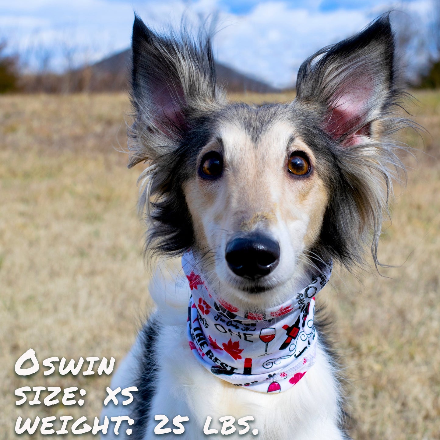 Pup Scruffs – Stylish & Durable Dog Neckwear for All Seasons