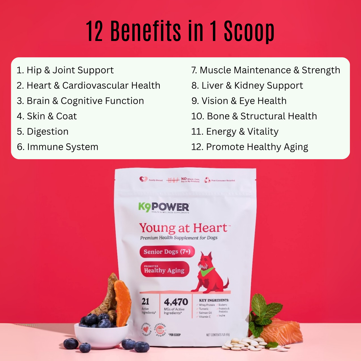 Infographic of 12 health benefits in K9 Power Young At Heart senior dog supplement