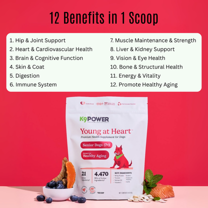 Infographic of 12 health benefits in K9 Power Young At Heart senior dog supplement