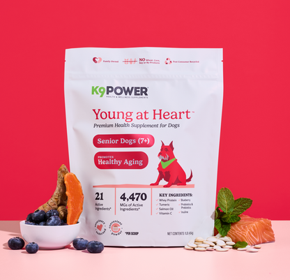 Senior Dog Supplement for Healthy Aging – K9 Power Young At Heart