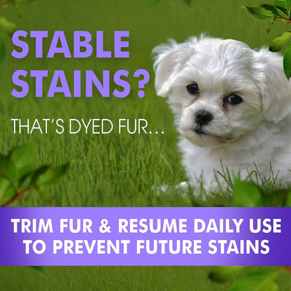 Arava Stain-B-Gone: Premium Pet Tear & Saliva Stain Eliminator