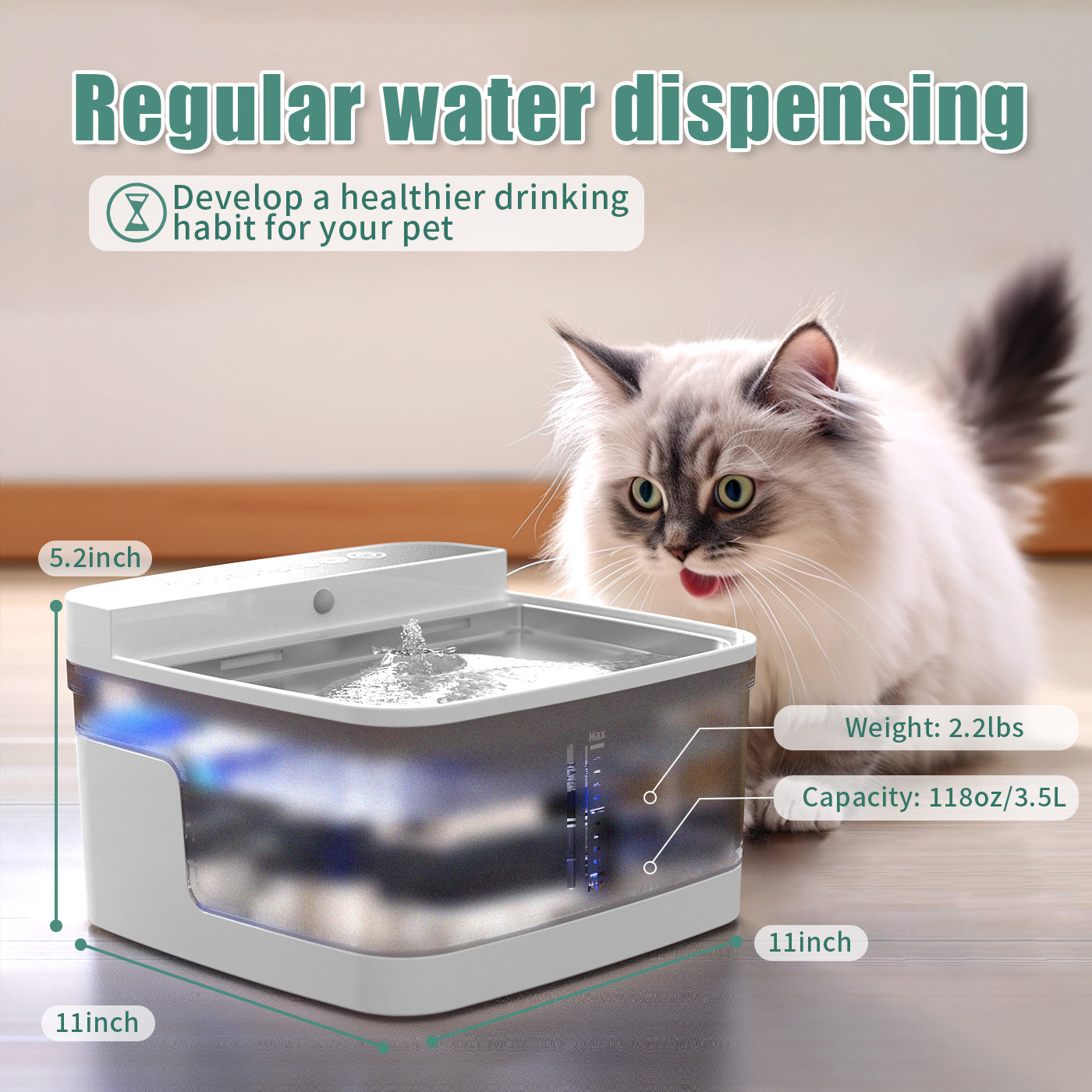 Large Quiet Cat Water Fountain with Filtration