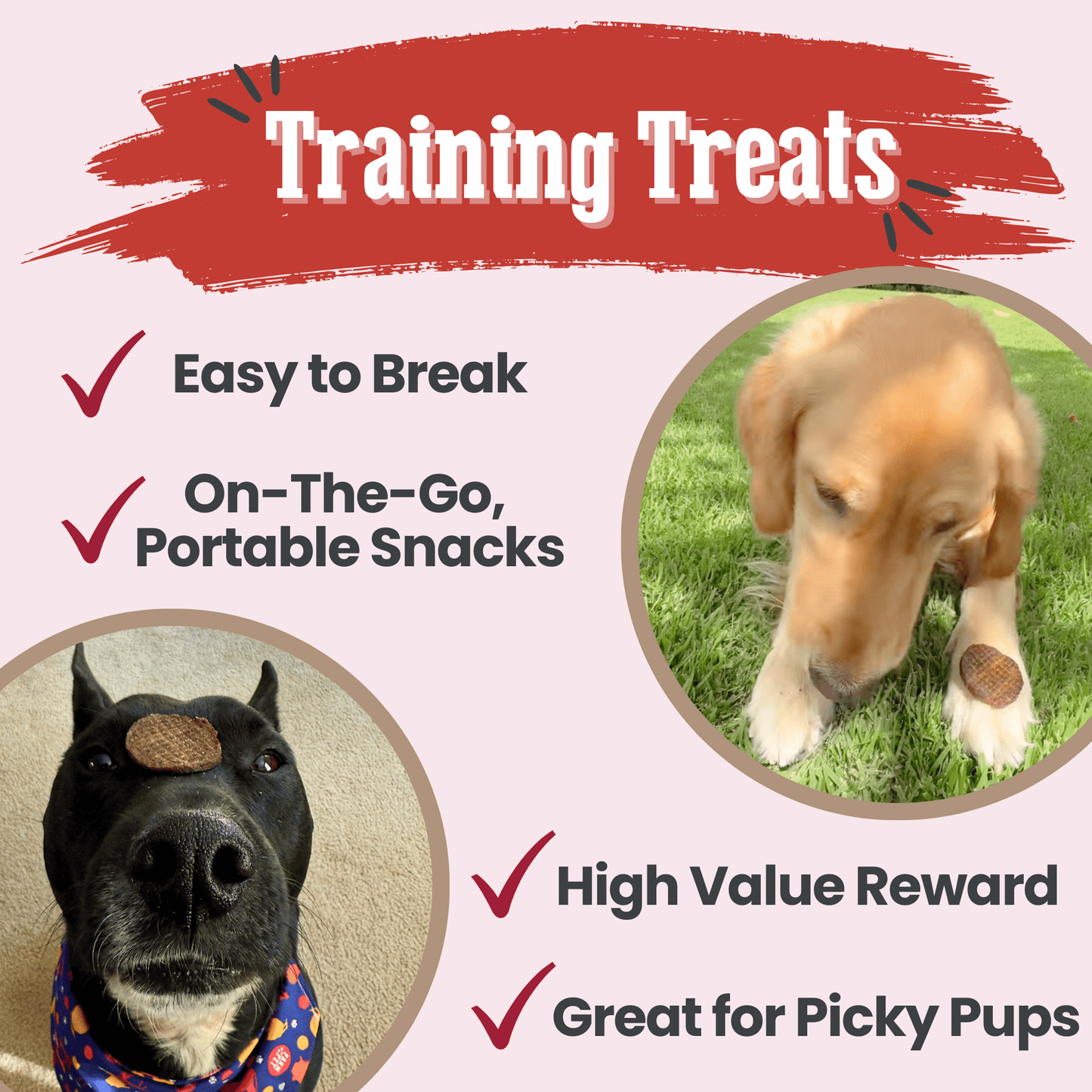 Beef chips for dogs used as high-value single-ingredient training treats on leash