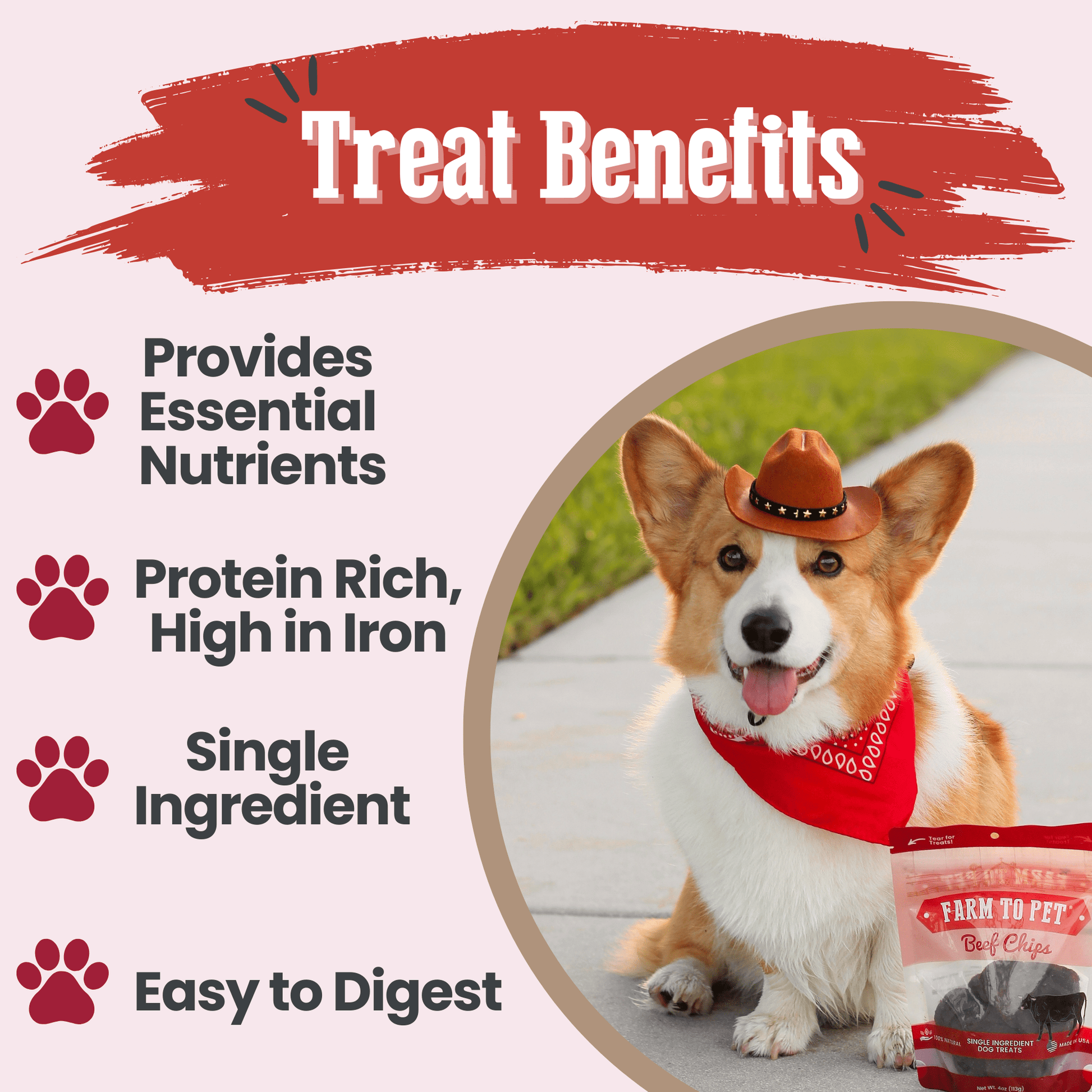 Beef chips for dogs treat benefits protein iron B12 single-ingredient