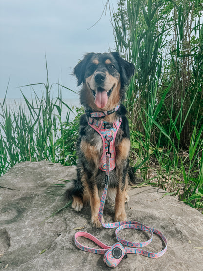 Sassy Woof Good Vibes dog collar with colorful design, adjustable strap, and metal buckle on a playful pet collar.