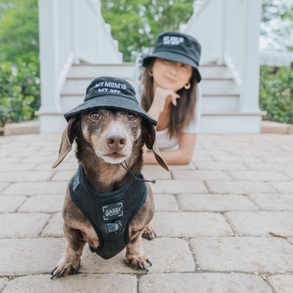 Sassy Woof dog bucket hat with "My Mom is my BFF" printed, featuring a colorful design and wide brim for sun protection.