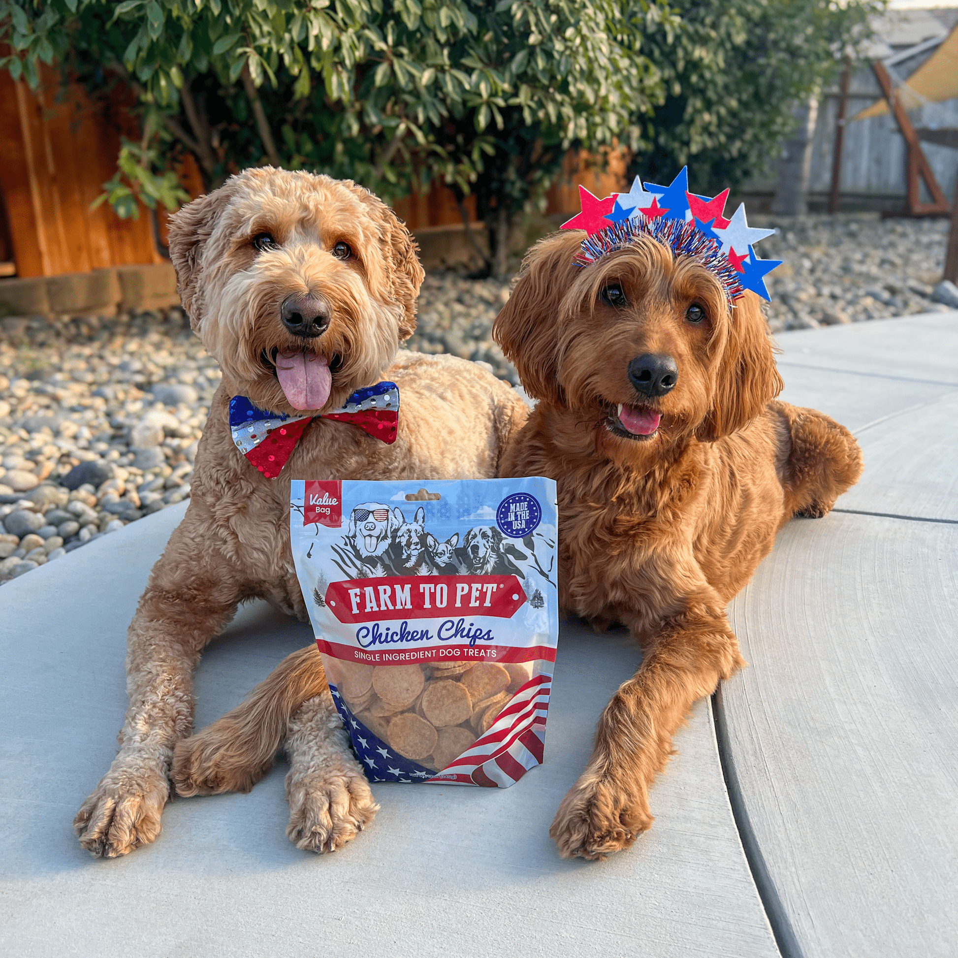 Two dogs with Farm To Pet chicken chips 12oz value bag outdoor lifestyle