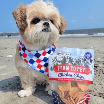 Beach dog with Farm To Pet chicken chips single-ingredient outdoor dog treats