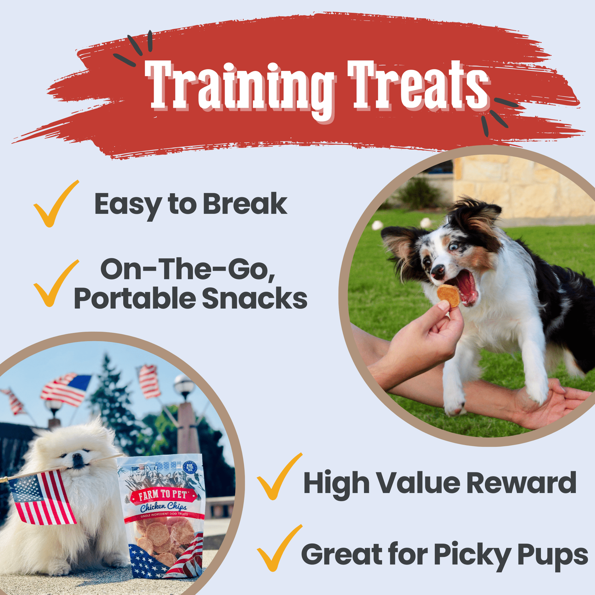 Chicken chips for dogs used as high-value low-fat training treat outdoor session