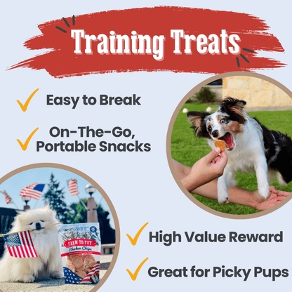 Chicken chips for dogs used as high-value low-fat training treat outdoor session