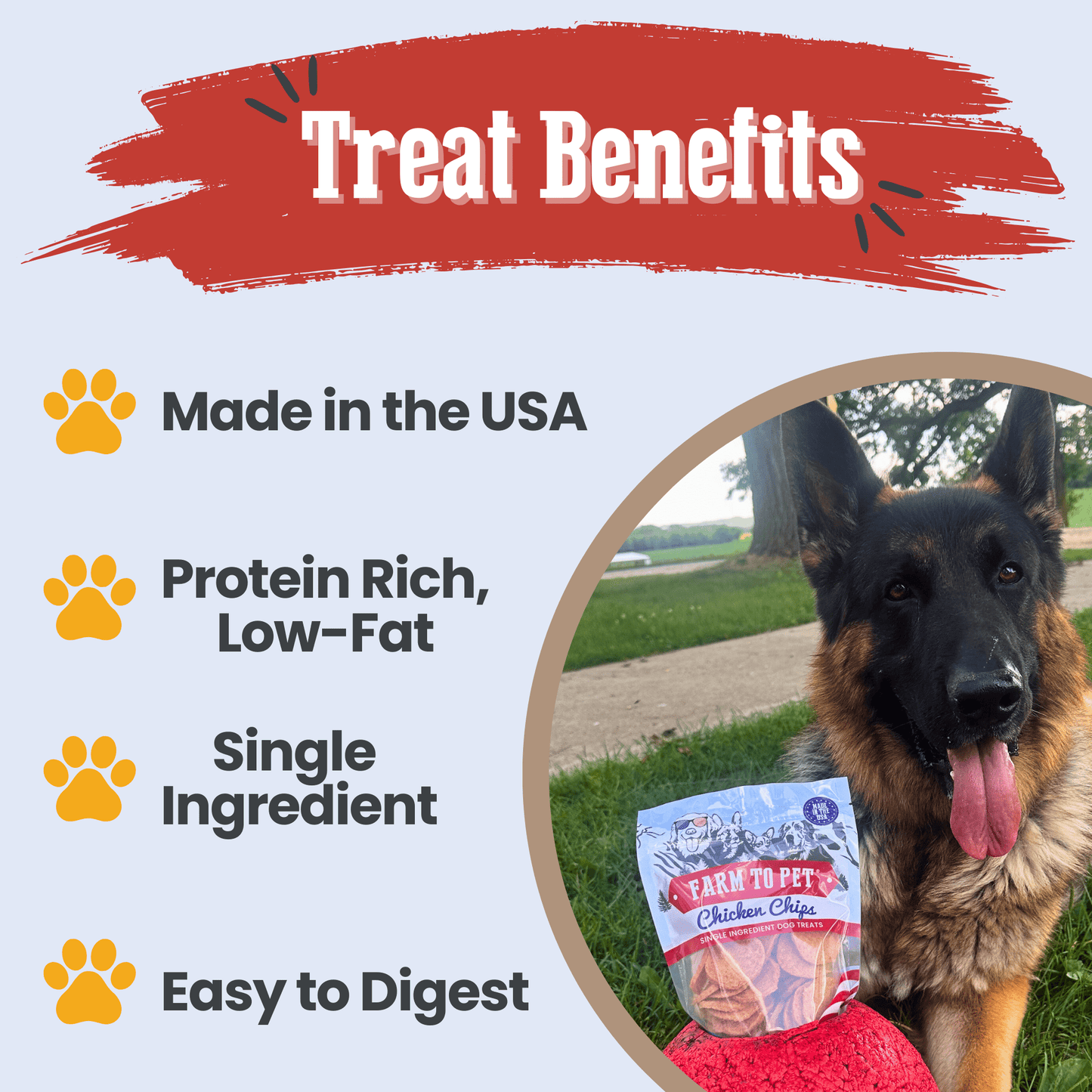 Chicken chips for dogs treat benefits protein B vitamins zinc single-ingredient