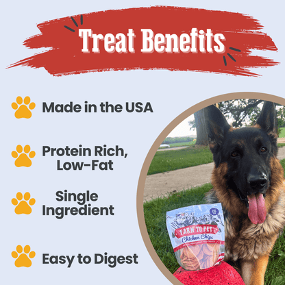 Chicken chips for dogs treat benefits protein B vitamins zinc single-ingredient