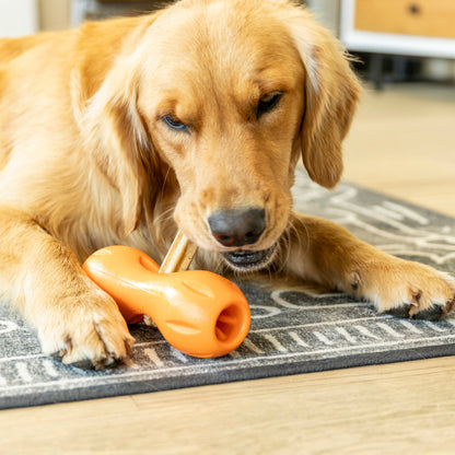 A dog enjoying a West Paw Natural Dental Stick that freshens breath and helps clean teeth