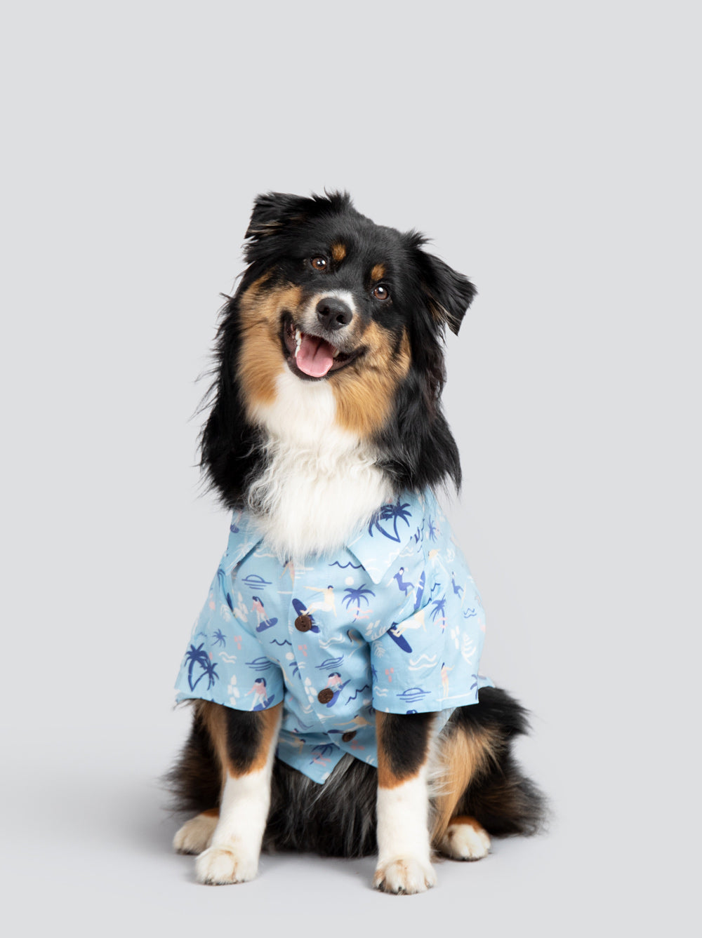 Surfs Up BBQ Shirt dog wearing tropical print – Good Thomas matching dog outfit