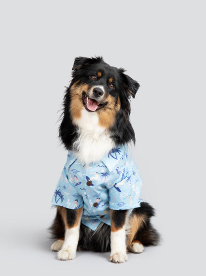 Surfs Up BBQ Shirt dog wearing tropical print – Good Thomas matching dog outfit