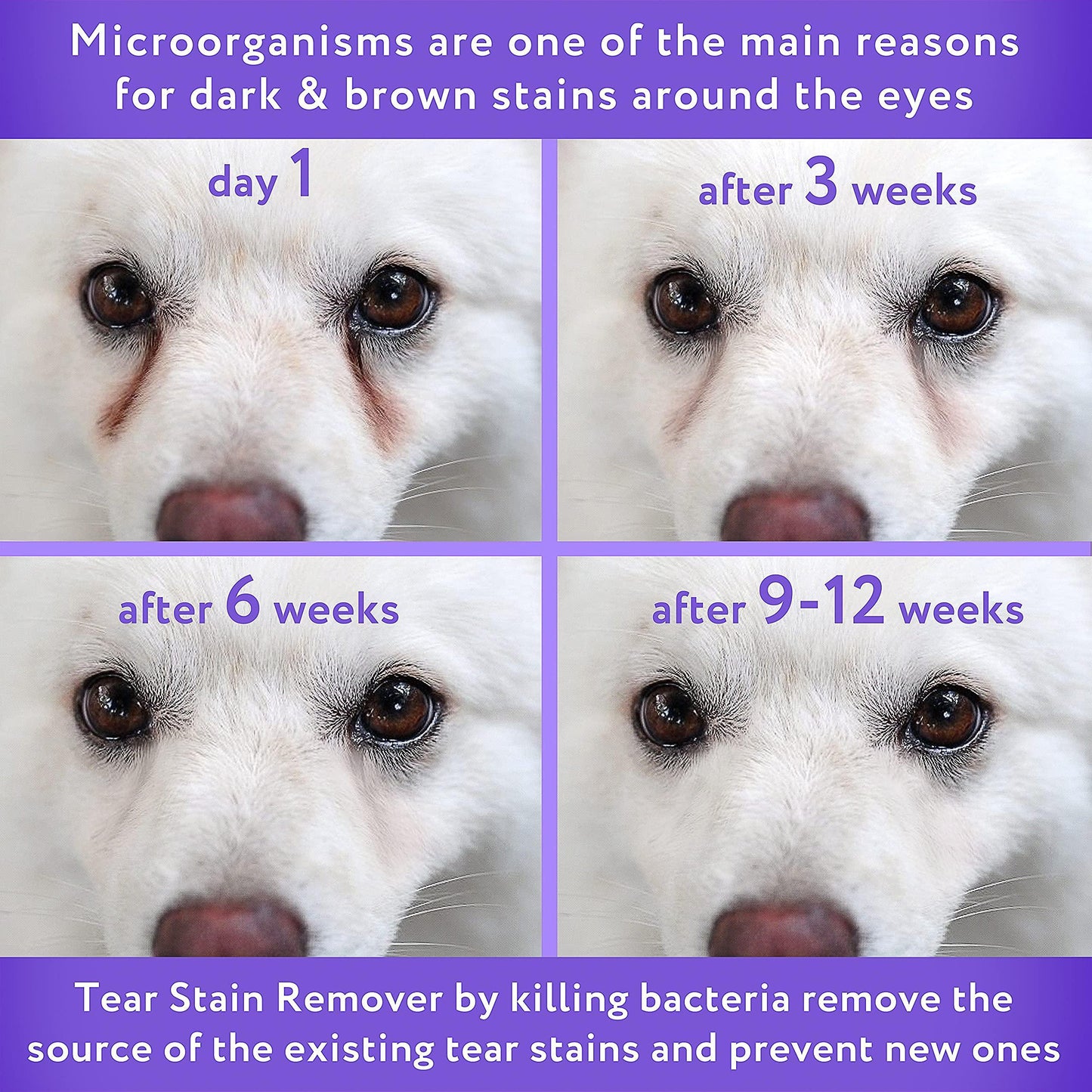 Arava Stain-B-Gone: Premium Pet Tear & Saliva Stain Eliminator