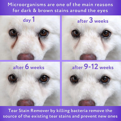 Arava Stain-B-Gone: Premium Pet Tear & Saliva Stain Eliminator