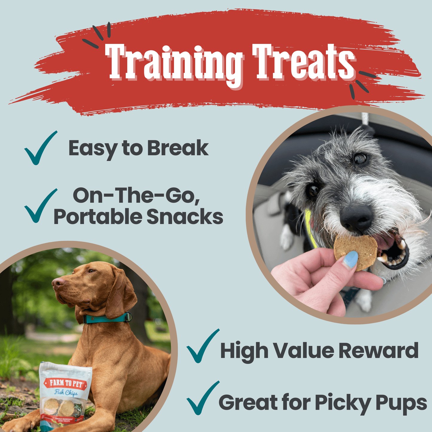 Fish chips for dogs used as low-fat low-allergen high-value training rewards
