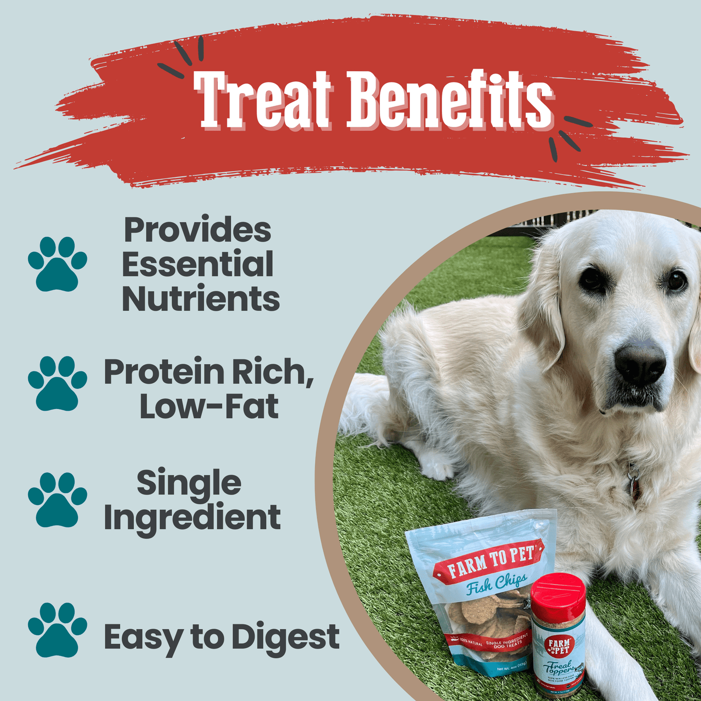 Fish chips for dogs treat benefits omega-3 selenium astaxanthin single-ingredient