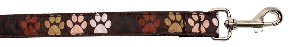 American Leashworks Solidarity Paws nylon collar or leash for dogs and cats, featuring a durable design and vibrant color.