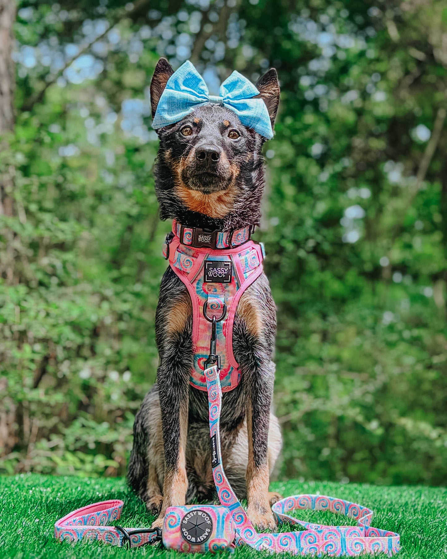 Sassy Woof Good Vibes dog collar with colorful design, adjustable pet collar for dogs, on a plain background
