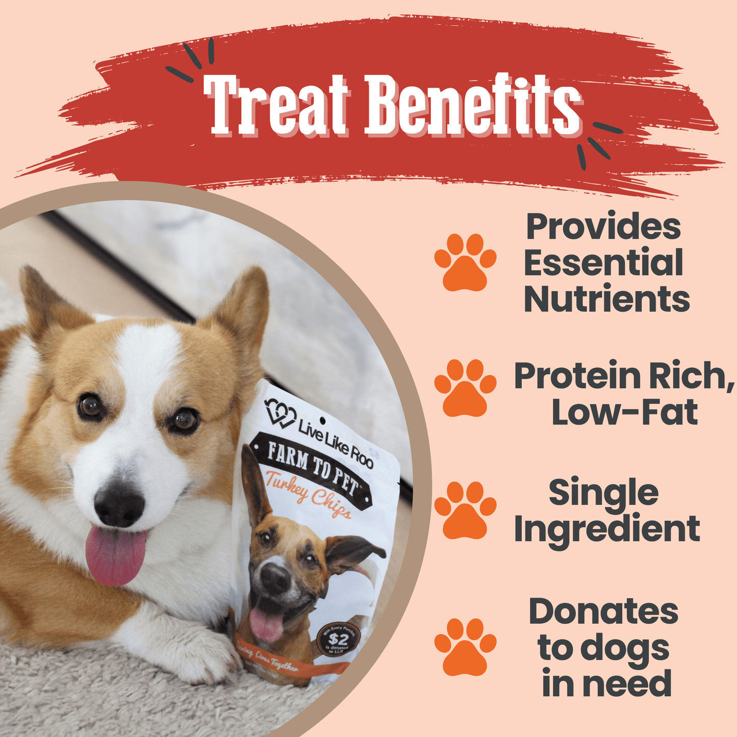 Live Like Roo turkey dog treats benefits grain-free single-ingredient charitable