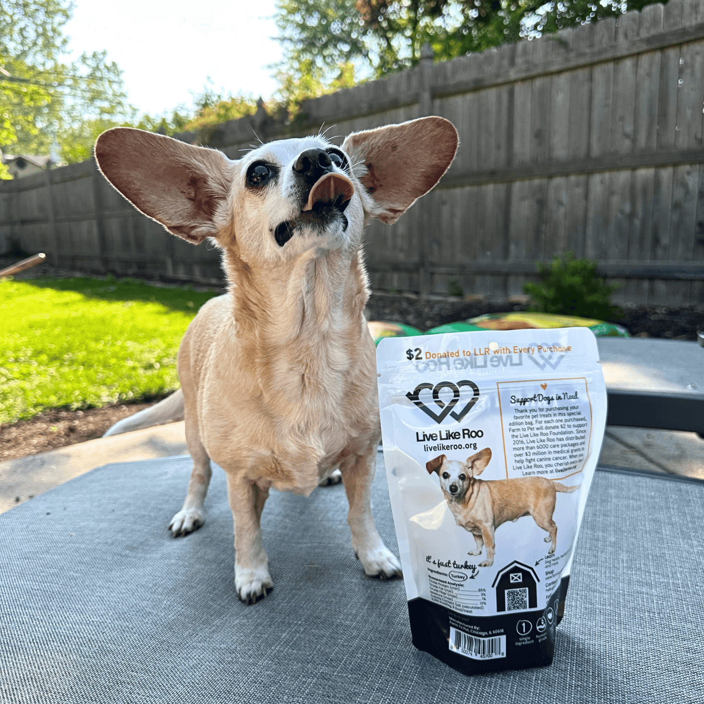 Live Like Roo turkey dog treats give back to canine cancer research per purchase