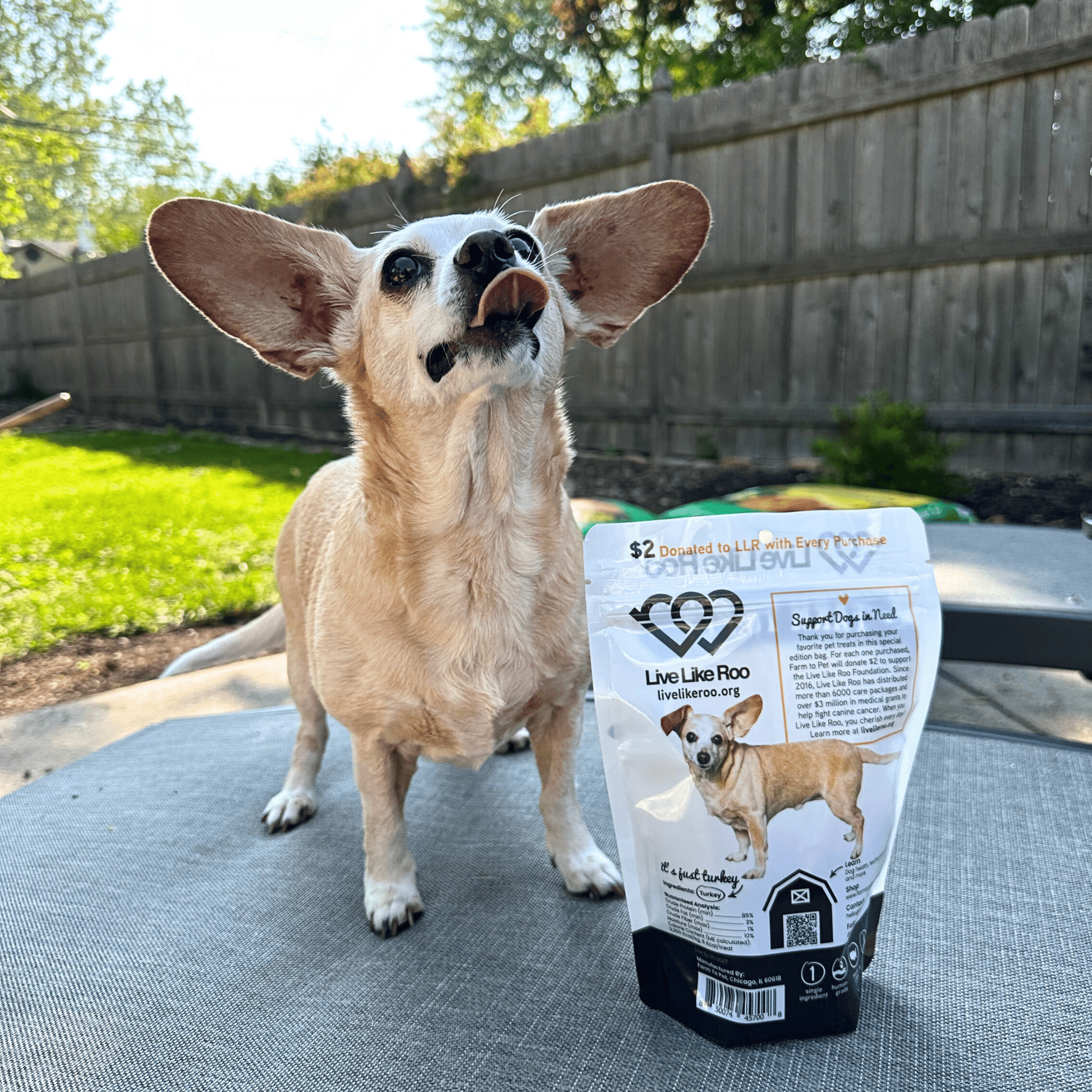 Live Like Roo turkey dog treats give back to canine cancer research per purchase