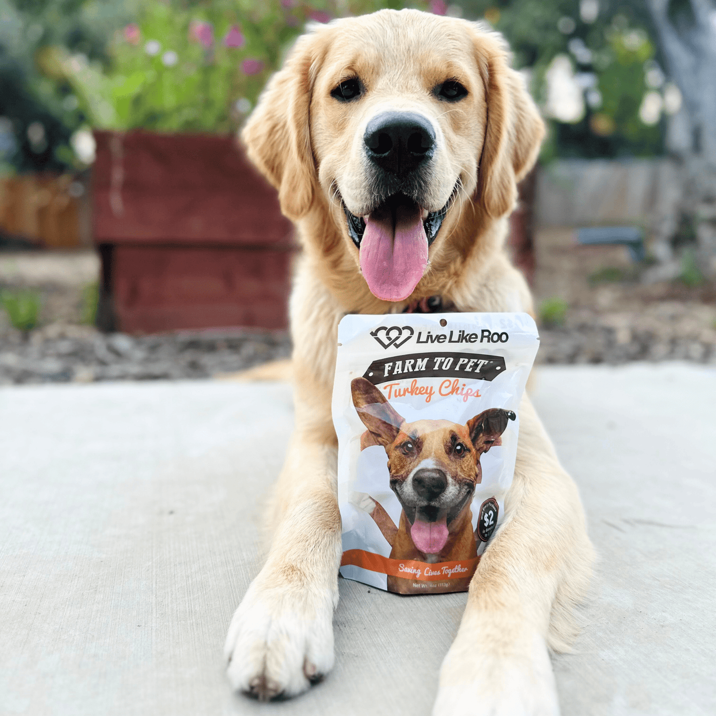 Happy dog eating Live Like Roo single-ingredient turkey dog treats