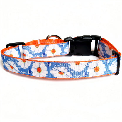Dog collar with white daisy pattern on a blue background