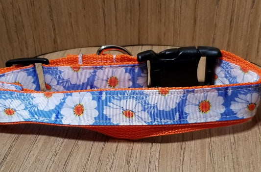 Martingale Collar: Vet-recommended, durable, and customizable.